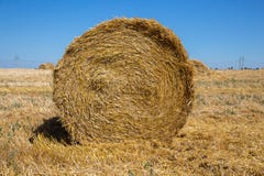 Duża rolka zbierająca słoma na skoszonym polu zdjęcia stock Duża rolka zbierająca słoma na skoszonym polu zdjęcia stock