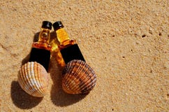 Dwa butelek whisky mały kłamstwo na piasku Alkoholu odgórny widok z góry zdjęcia stock Dwa butelek whisky mały kłamstwo na piasku Alkoholu odgórny widok z góry zdjęcia stock