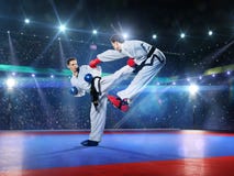 Dwa fachowego żeńskiego karate wojownika są zdjęcie royalty free Dwa fachowego żeńskiego karate wojownika są zdjęcie royalty free