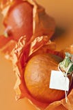Dwa wibrującej pomarańczowej bani zdjęcia stock Dwa wibrującej pomarańczowej bani zdjęcia stock