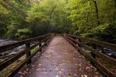 dymiący góry wielki park narodowy