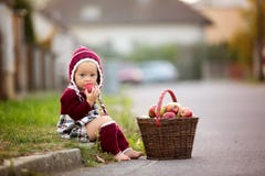 Dziecka łasowania jabłka w wiosce w jesieni Mała chłopiec sztuka obrazy stock Dziecka łasowania jabłka w wiosce w jesieni Mała chłopiec sztuka obrazy stock