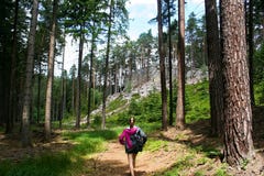 Dziewczyna w forrest obrazy stock Dziewczyna w forrest obrazy stock