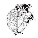 Dé a línea arte exhausta los halfs del cerebro humano y del corazón Diseño del tatuaje de la tinta del bosquejo del Grunge en el Imágenes de archivo libres de regalías Dé a línea arte exhausta los halfs del cerebro humano y del corazón Diseño del tatuaje de la tinta del bosquejo del Grunge en el Imágenes de archivo libres de regalías