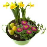 Décoration de Pâques - pot avec des fleurs de ressort et des oeufs colorés photographie stock libre de droits Décoration de Pâques - pot avec des fleurs de ressort et des oeufs colorés photographie stock libre de droits