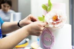Décoration du gâteau l'épousant à gradins avec la fleur photo stock Décoration du gâteau l'épousant à gradins avec la fleur photo stock