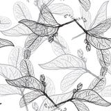 Découpes de feuilles sur un fond blanc modèle sans couture floral, illustration de vecteur Découpes de feuilles sur un fond blanc modèle sans couture floral, illustration de vecteur