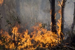 Désastre de nature