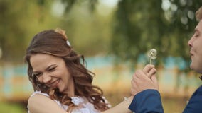 Día de boda Un diente de león que sopla de los pares hermosos y felices en un prado verde almacen de video Día de boda Un diente de león que sopla de los pares hermosos y felices en un prado verde almacen de video