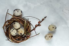 Día de Pascua Una pequeña jerarquía con los huevos de codornices en un fondo blanco, con el espacio libre para la entrada de text imagen de archivo libre de regalías Día de Pascua Una pequeña jerarquía con los huevos de codornices en un fondo blanco, con el espacio libre para la entrada de text imagen de archivo libre de regalías