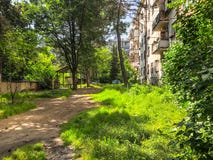 Día soleado en una yarda residencial de la ciudad Los conos del pino bajaron a la tierra de un árbol de pino fotografía de archivo libre de regalías Día soleado en una yarda residencial de la ciudad Los conos del pino bajaron a la tierra de un árbol de pino fotografía de archivo libre de regalías