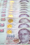 Dólar de Singapur imágenes de archivo libres de regalías Dólar de Singapur imágenes de archivo libres de regalías