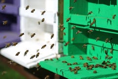 E royalty-vrije stock afbeeldingen E royalty-vrije stock afbeeldingen
