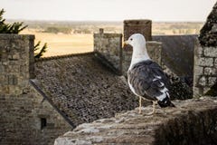 E stockbilder E stockbilder