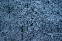 E foto de stock royalty free E foto de stock royalty free