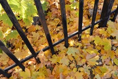 E image libre de droits E image libre de droits
