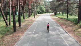 E Concepto de ciclo Opini?n del abej?n de la parte trasera almacen de video E Concepto de ciclo Opini?n del abej?n de la parte trasera almacen de video