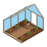 E Croissance de plante de tomate Procédé de plantation Vue intérieure cultivée en serre illustration stock E Croissance de plante de tomate Procédé de plantation Vue intérieure cultivée en serre illustration stock