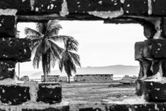 E Paraíso tropical do console imagem de stock E Paraíso tropical do console imagem de stock