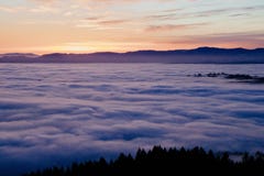 E foto de stock royalty free E foto de stock royalty free