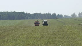 E stock videobeelden E stock videobeelden