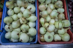 E royalty-vrije stock afbeeldingen E royalty-vrije stock afbeeldingen