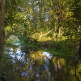 E lizenzfreies stockfoto E lizenzfreies stockfoto