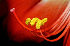 E fotografering för bildbyråer E fotografering för bildbyråer