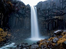E stock fotografie E stock fotografie