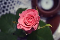 E fotografia royalty free E fotografia royalty free