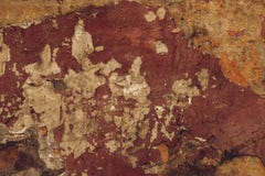 E r r o imagen de archivo libre de regalías E r r o imagen de archivo libre de regalías
