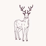 E r vector illustratie E r vector illustratie