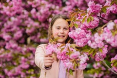( E t Snuivende bloemen Meisje stock afbeelding ( E t Snuivende bloemen Meisje stock afbeelding