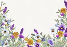E watercolor ρύθμιση λουλουδιών Σχέδιο προτύπων ευχετήριων καρτών πρόσκληση στοκ εικόνες με δικαίωμα ελεύθερης χρήσης E watercolor ρύθμιση λουλουδιών Σχέδιο προτύπων ευχετήριων καρτών πρόσκληση στοκ εικόνες με δικαίωμα ελεύθερης χρήσης