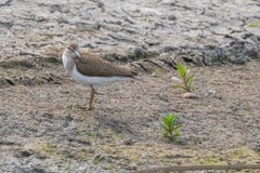 E stockbilder E stockbilder