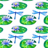 E Голубые розовые лилии воды на зеленых листьях и dragonfly r o иллюстрация штока E Голубые розовые лилии воды на зеленых листьях и dragonfly r o иллюстрация штока