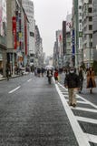 E Люди идут вдоль пешеходной улицы Ginza стоковая фотография E Люди идут вдоль пешеходной улицы Ginza стоковая фотография