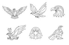 Eagle, linje vektor, tecken och symbol, vektorillustration vektor illustrationer Eagle, linje vektor, tecken och symbol, vektorillustration vektor illustrationer