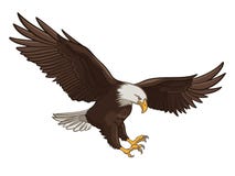 Image result for  purple eagles clipart