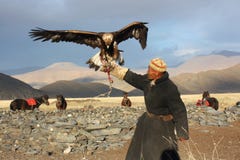 Eaglehunter In Mongolia Stock Image Eaglehunter In Mongolia Stock Image