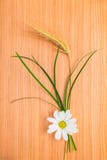 Ear Wheat With Chamomile And Grass Stock Photography Ear Wheat With Chamomile And Grass Stock Photography