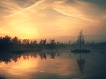 Early morning autumn at mountain lake in dreamy atmosphere, tree on island in middle. Royalty Free Stock Photography Early morning autumn at mountain lake in dreamy atmosphere, tree on island in middle. Royalty Free Stock Photography