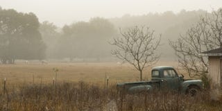 Old Truck and Horses in the Mist royalty free stock photo Old Truck and Horses in the Mist royalty free stock photo