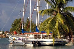 Early Morning On Tropical Harbor. Early Morning On Tropical Harbor.