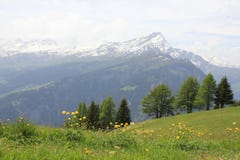 Early Summer In Canton Of Grisons, Switzerland Stock Photography