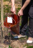 Earth day. seedling by volunteer. Struggle against trash litter royalty free stock photo Earth day. seedling by volunteer. Struggle against trash litter royalty free stock photo