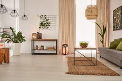 Earth`s Tones Home Interior Royalty Free Stock Photo Earth`s Tones Home Interior Royalty Free Stock Photo