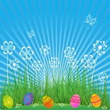 Easter Background with cute eggs, flowers and butterflies. Cartoon spring scene with grass,sky and colored eggs in field. For holi stock illustration Easter Background with cute eggs, flowers and butterflies. Cartoon spring scene with grass,sky and colored eggs in field. For holi stock illustration
