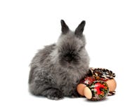 Easter Bunny 2 Royalty Free Stock Images Easter Bunny 2 Royalty Free Stock Images