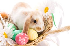 Easter Bunny In A Basket With Eggs Stock Photos